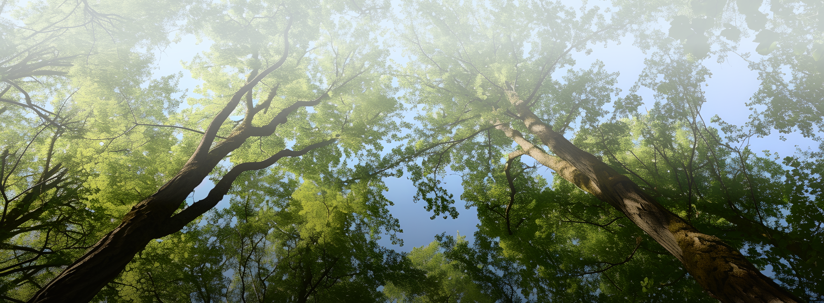Biodiversity Management