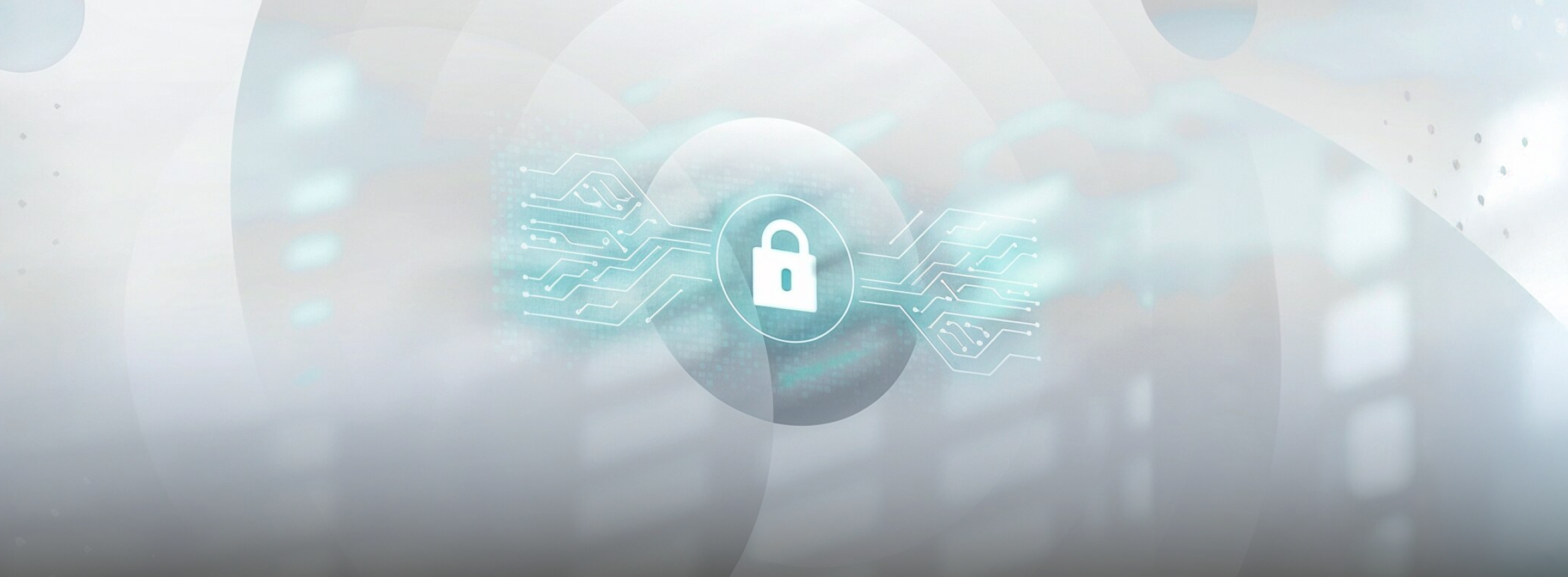 IT Security and Data Privacy