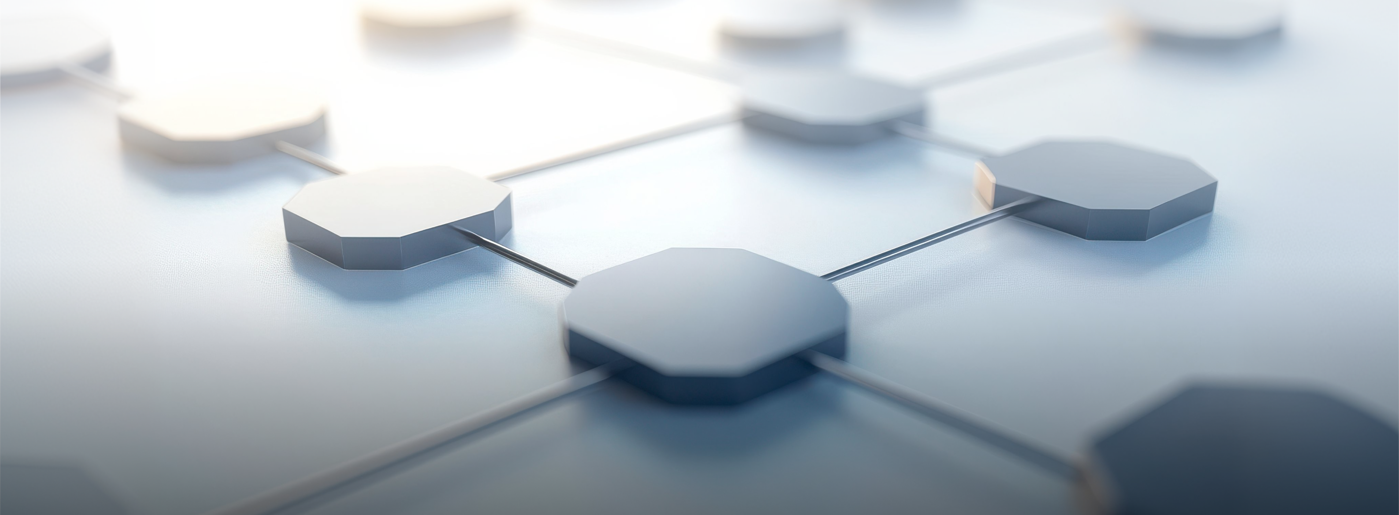 Sustainability Governance Structure