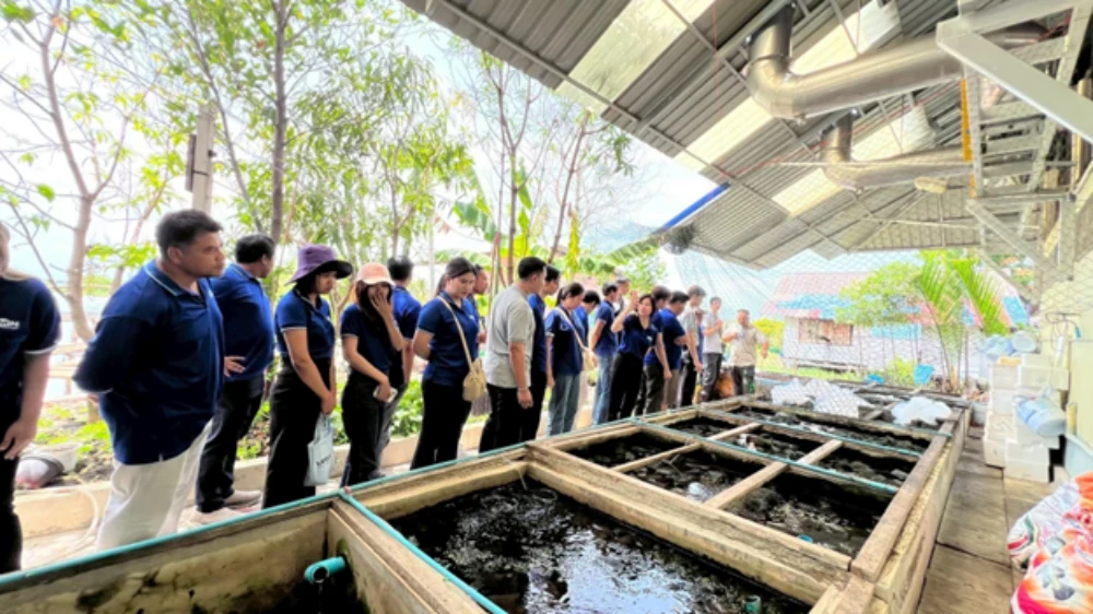 “Mangrove Reforestation” Project at Khlong Khon Mangrove Conservation Center