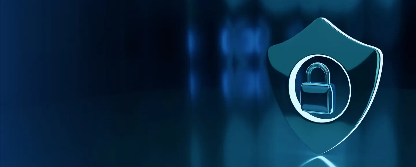 IT Security and Data Privacy