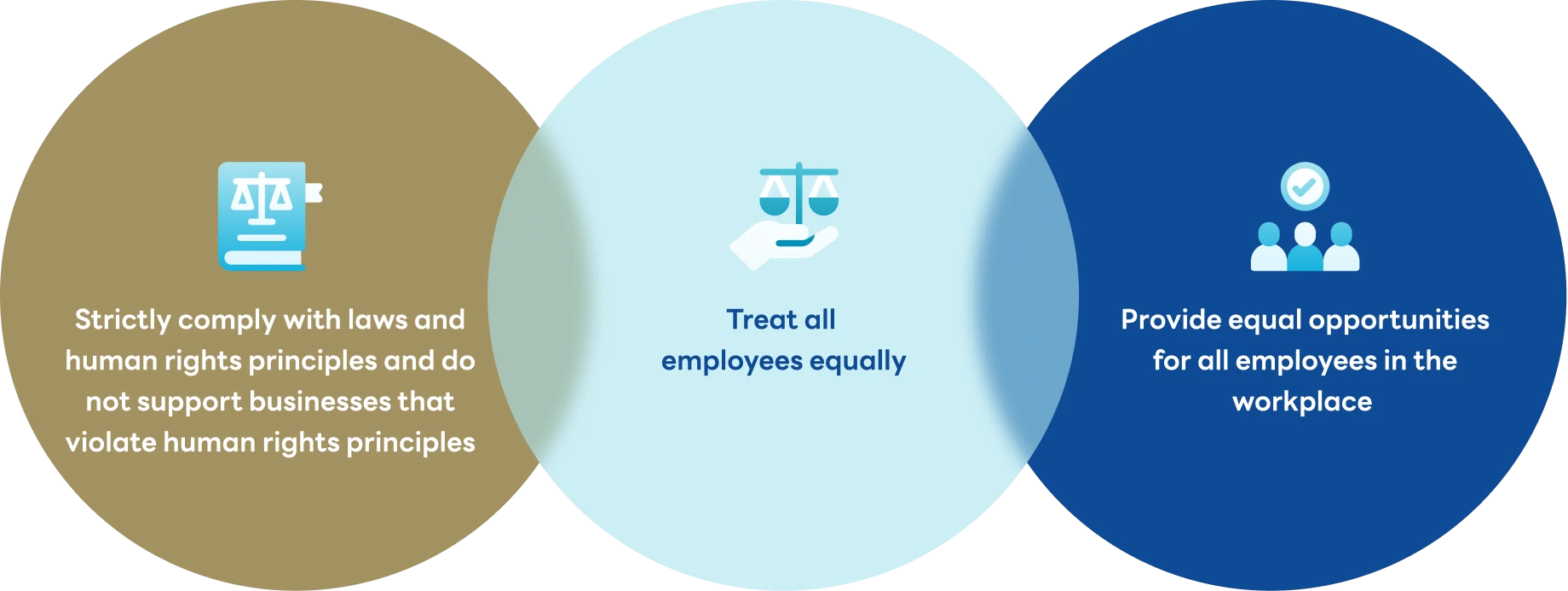 Guidelines for Respecting Laws and Human Rights Principles