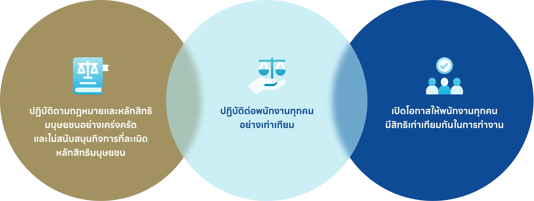 แนวทางปฏิบัติในการเคารพกฎหมายและหลักสิทธิมนุษยชน