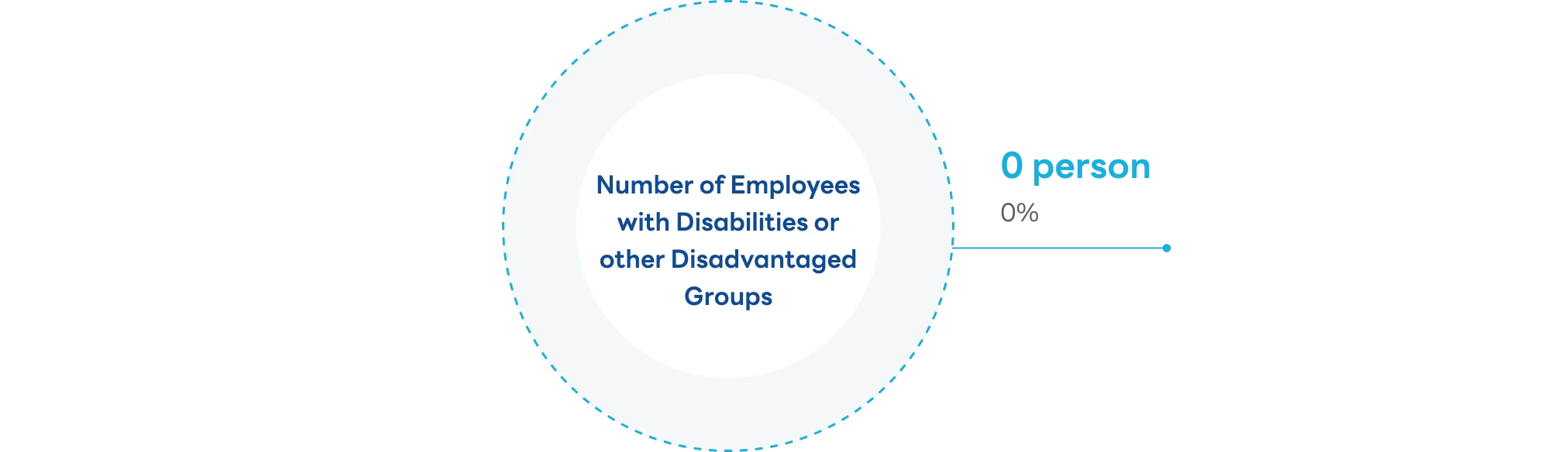 Number of Employees with Disabilities or other Disadvantaged Groups