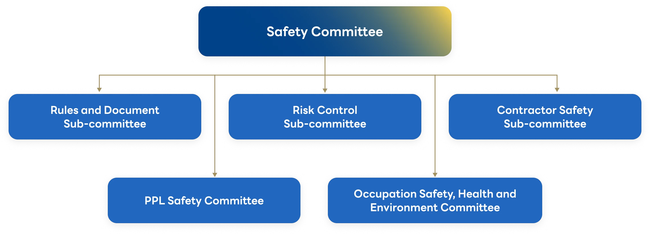 Safety Committee